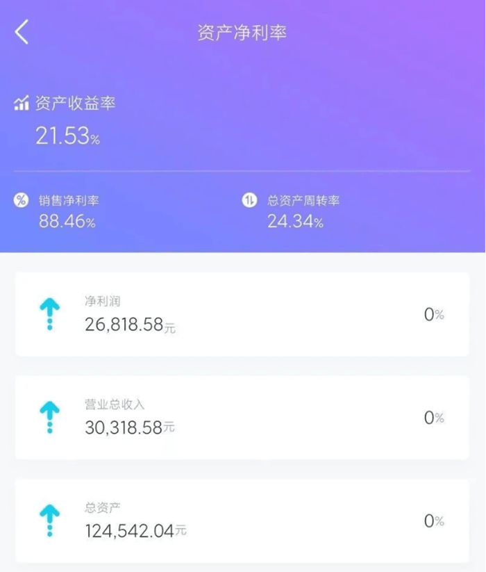 金蝶精斗云APP资产净利润展示页面