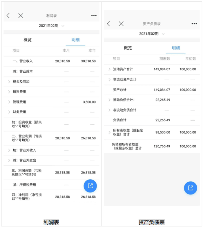 利润表和资产负债表查询页面