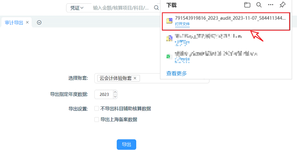 审计文件导出.png