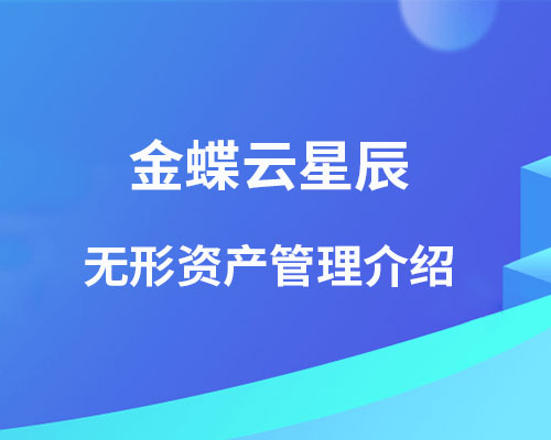 金蝶有无形资产模块吗？