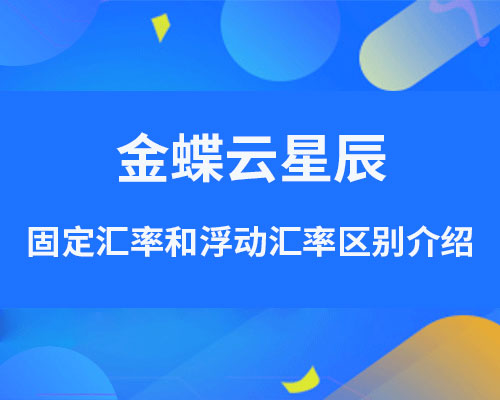 金蝶云星辰固定汇率和浮动汇率有什么区别?